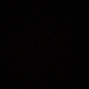 Meet your Posher, Donatella